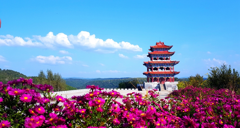 紫金阁 松涛.jpg