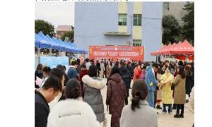 春风送岗暖民心 民族团结促振兴